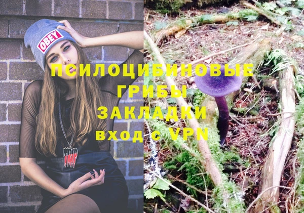 дживик Балахна
